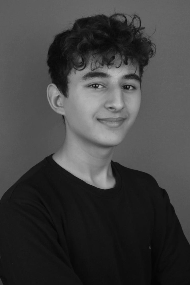 HİM CASTING